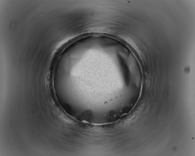 X0000101710971200807241452