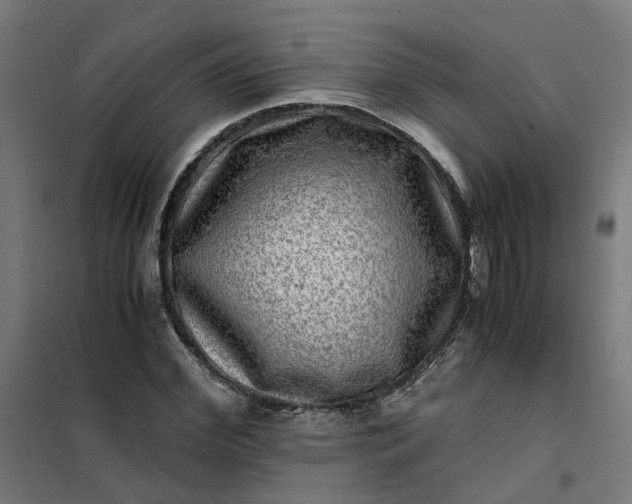 X0000101710972200807241452