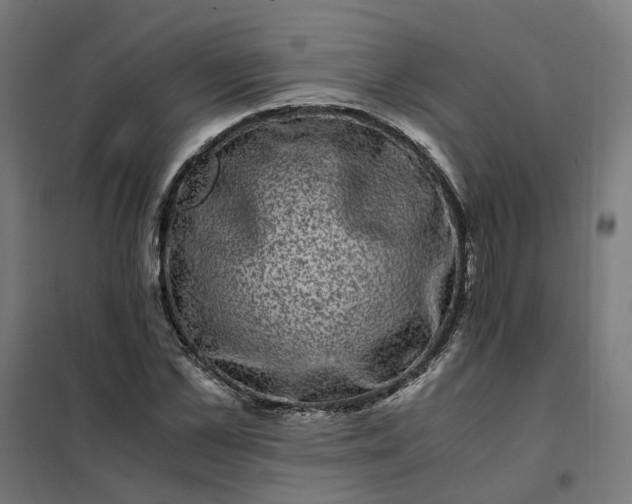 X0000101710973200807241452