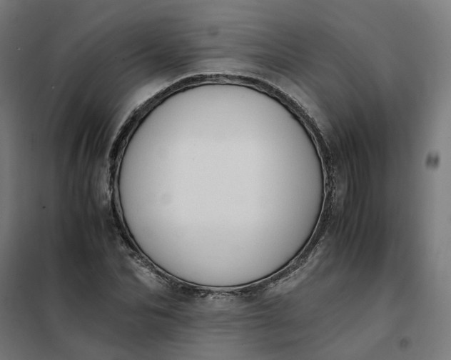 X0000101710974200807241452