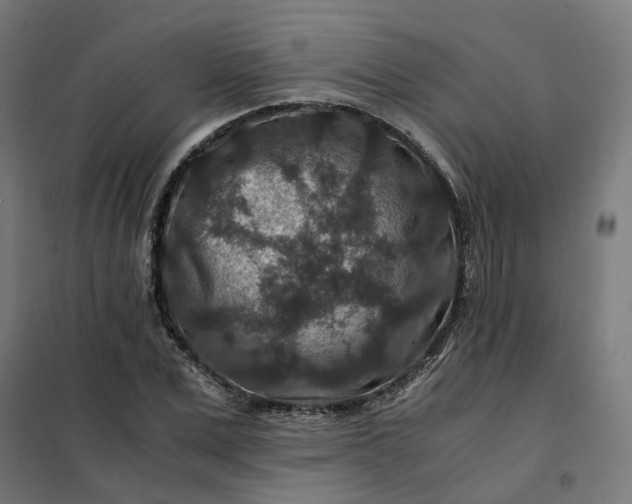 X0000101710975200807241452