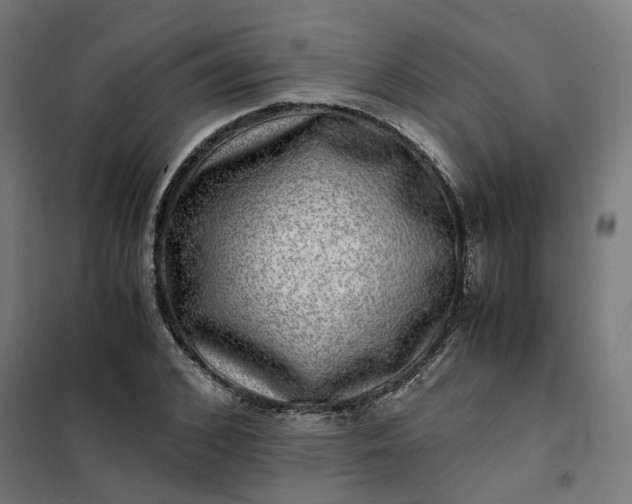 X0000101710976200807241452