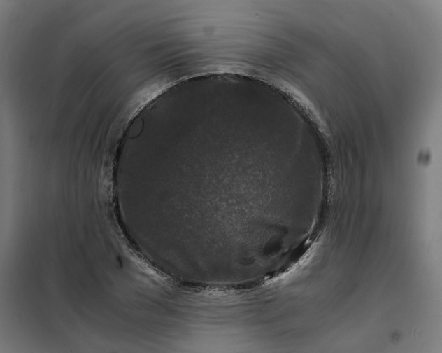 X0000101710977200807241452