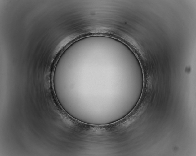 X0000101710978200807241452