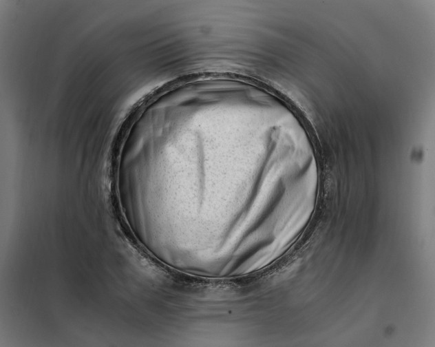 X0000101710979200807241452