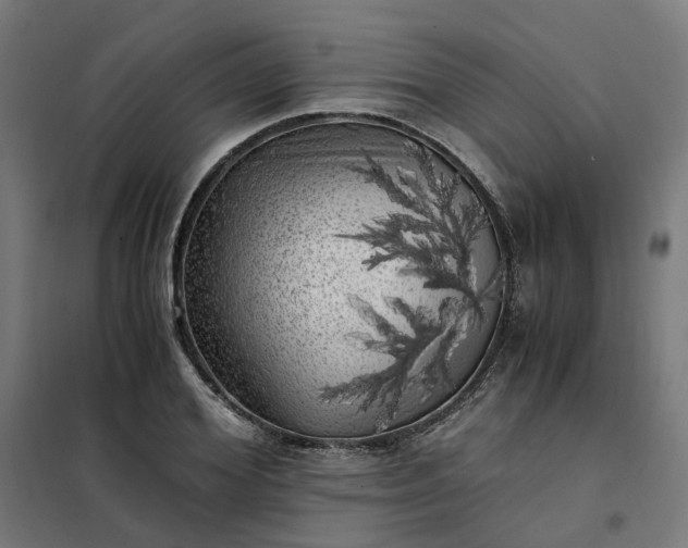 X0000101710980200807241452