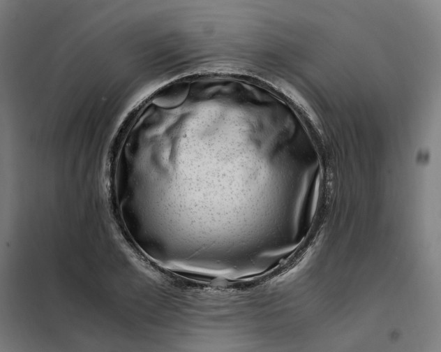 X0000101710981200807241452