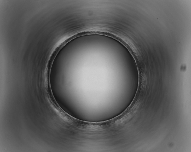 X0000101710982200807241452