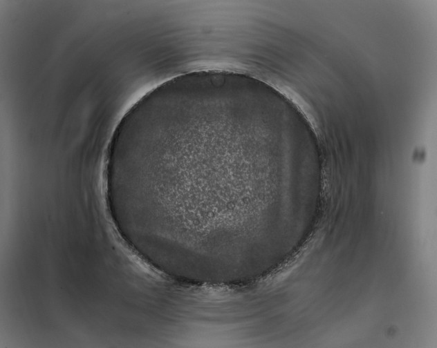 X0000101710983200807241451