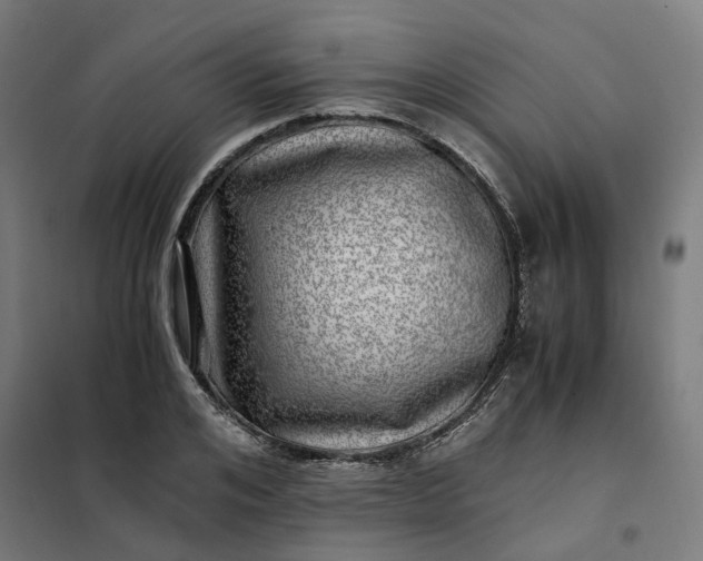 X0000101710984200807241451