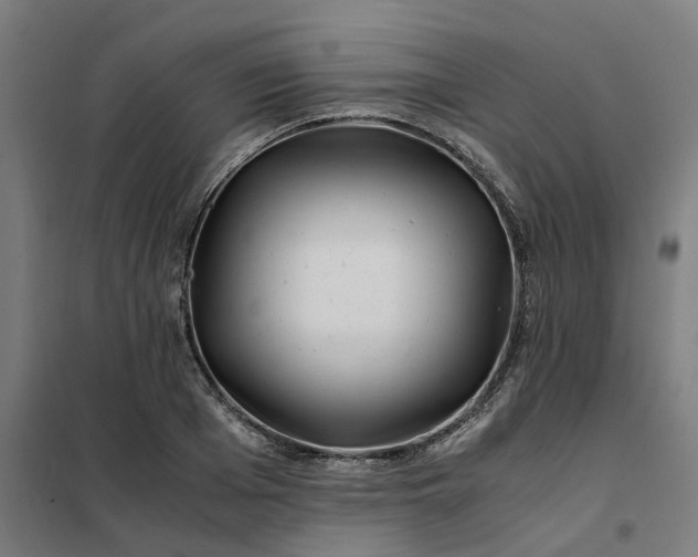 X0000101710985200807241451