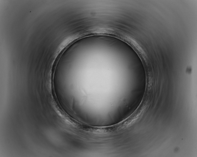 X0000101710986200807241451