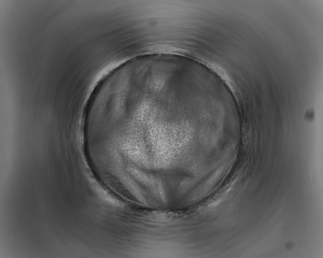 X0000101710987200807241451