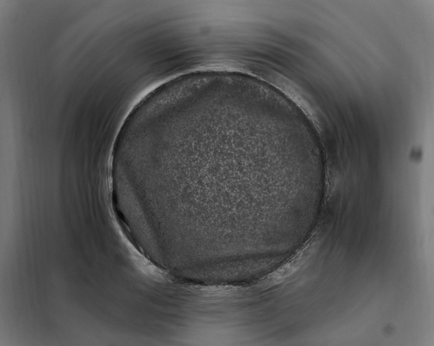 X0000101710988200807241451