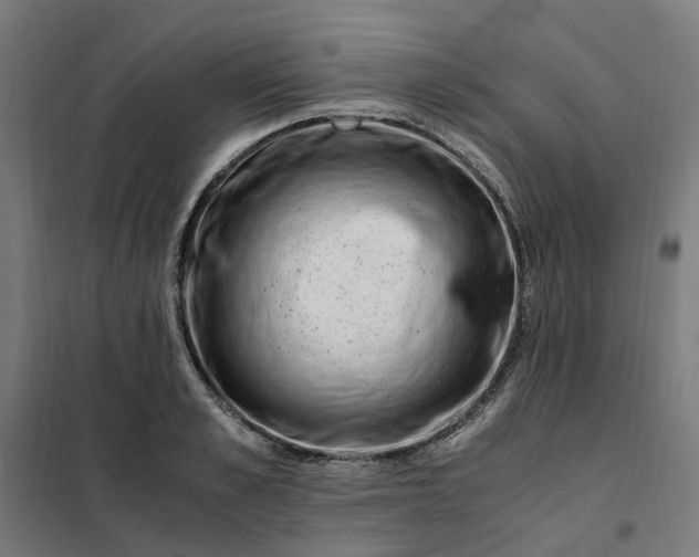 X0000101710989200807241451