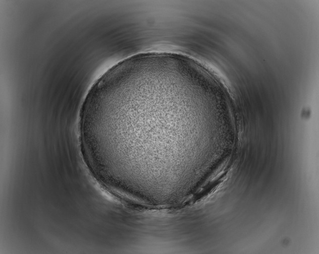 X0000101710990200807241451