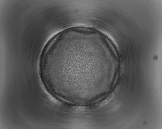 X0000101710991200807241451