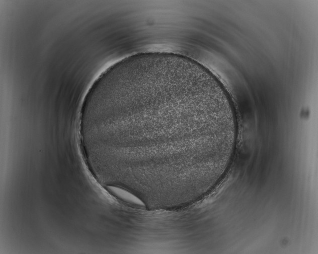 X0000101710992200807241451