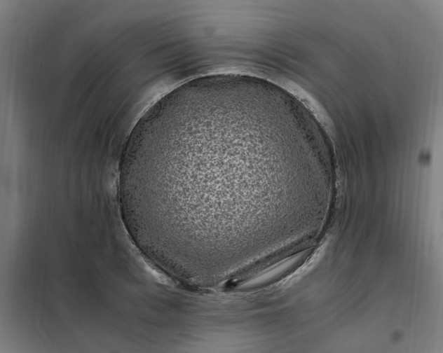 X0000101710993200807241451