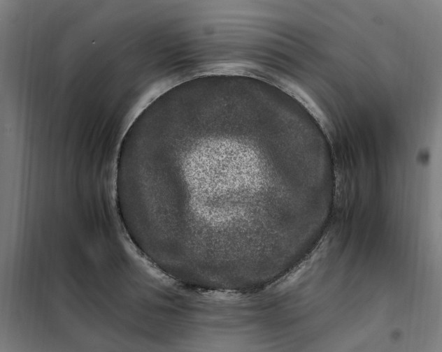 X0000101710994200807241451