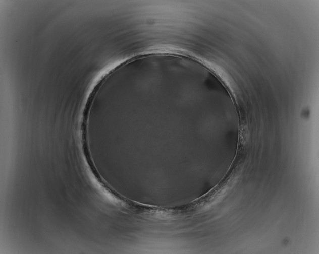 X0000101710995200807241451