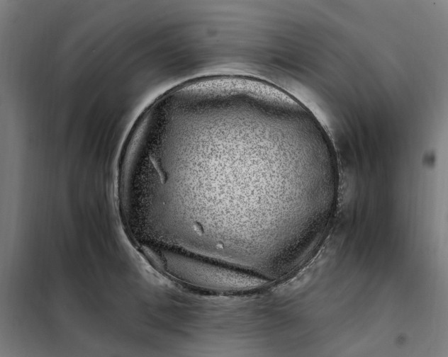 X0000101710996200807241451