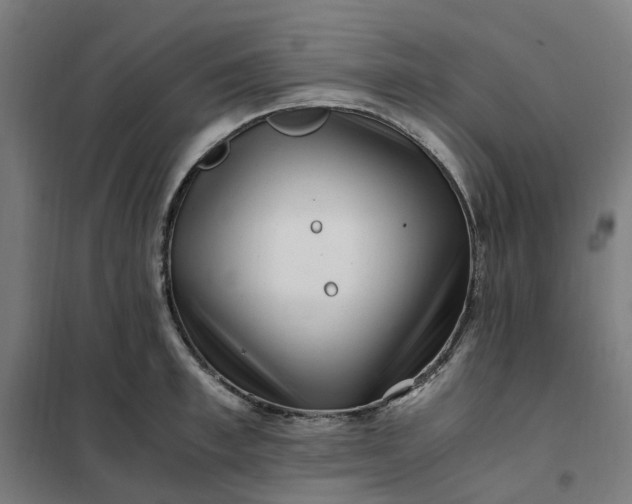 X0000101710997200807241451