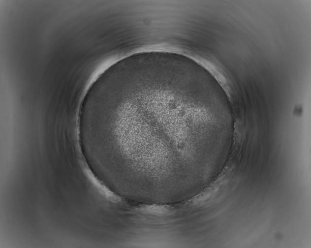 X0000101710998200807241451