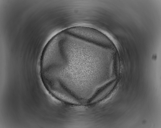 X0000101710999200807241451