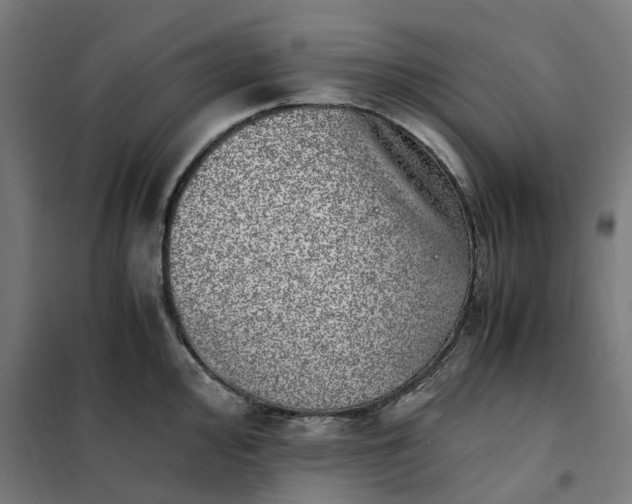 X0000101711000200807241451