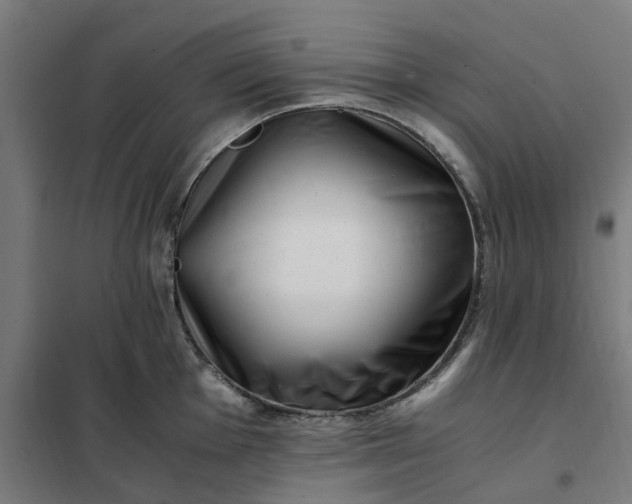 X0000101711001200807241451