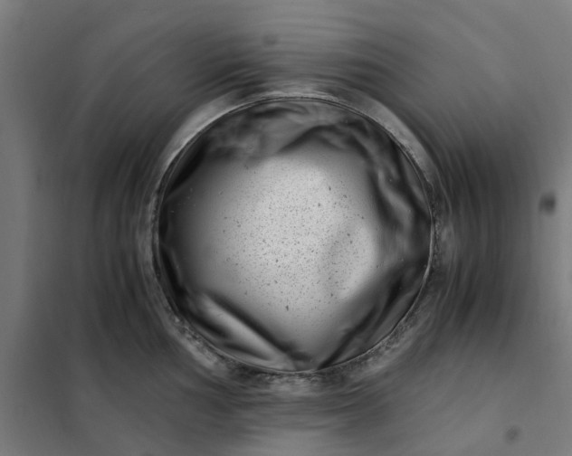 X0000101711002200807241451