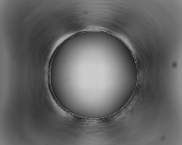 X0000101711003200807241451