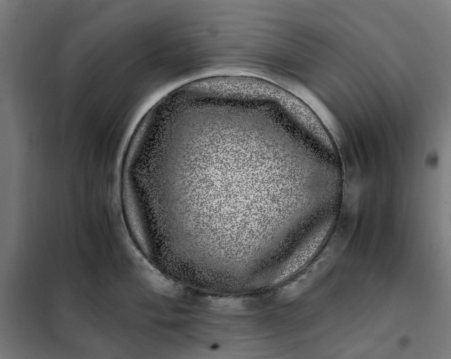 X0000101711004200807241451