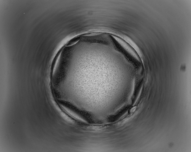 X0000101711005200807241451