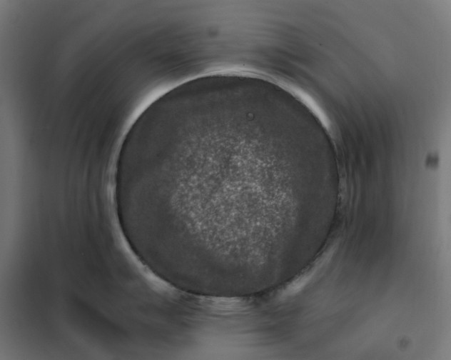 X0000101711007200807241451