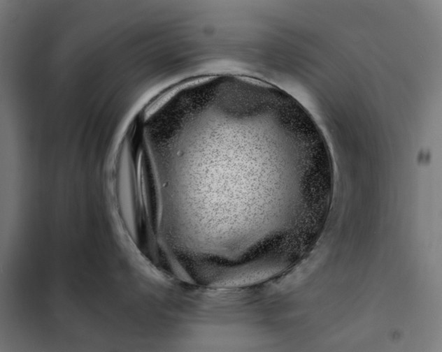 X0000101711008200807241451