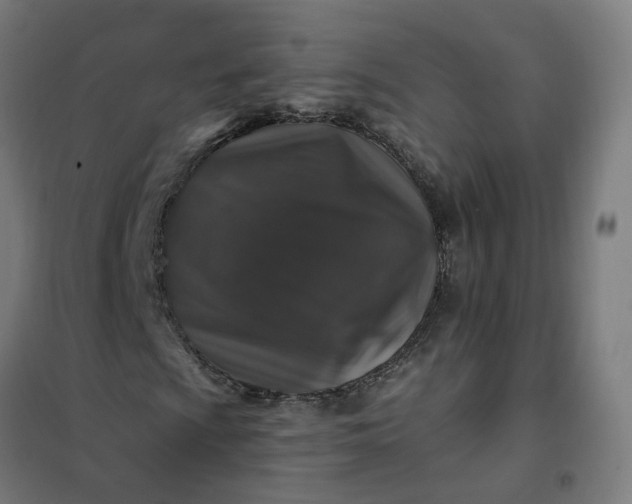 X0000101711009200807241450