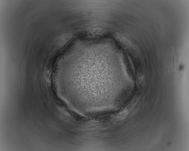 X0000101711010200807241451