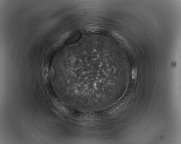 X0000101711011200807241451