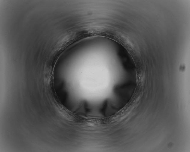 X0000101711012200807241451