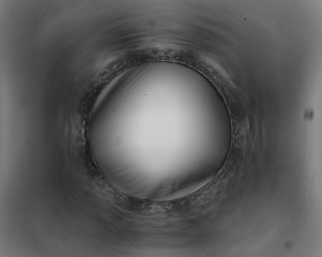 X0000101711013200807241451