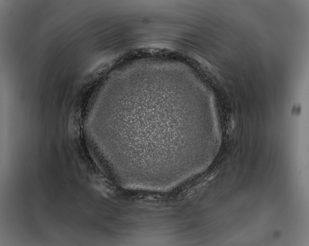 X0000101711014200807241451