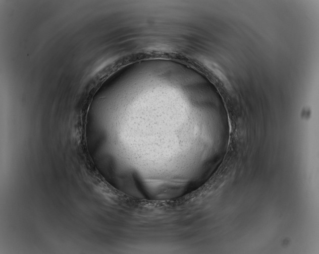 X0000101711015200807241451