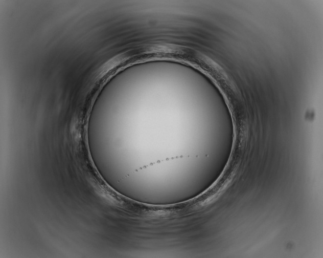 X0000101711017200807241451