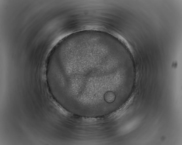 X0000101711019200807241451