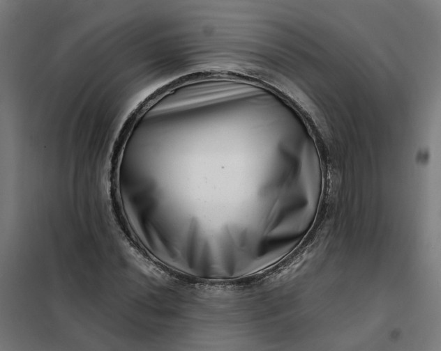 X0000101711020200807241451