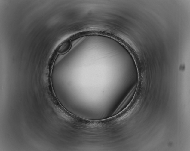 X0000101711021200807241451