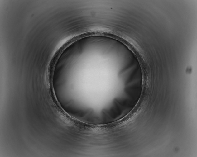 X0000101711022200807241451