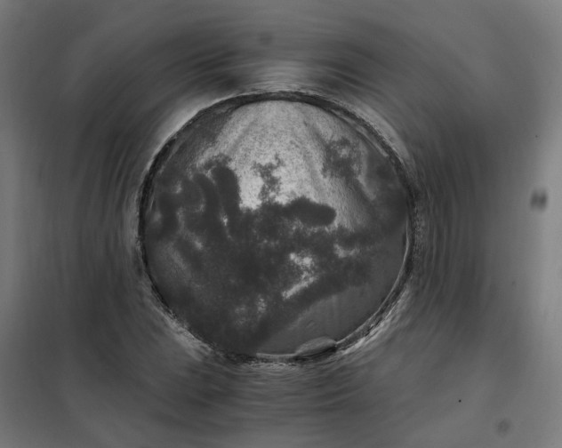 X0000101711023200807241451